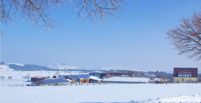 Reiten im Winter und in den Faschingsferien auf der schwbischen Alb